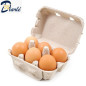 PLATEAUX OEUFS DE 6PCS