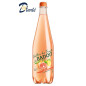 BADOIT PAMPLEMOUSSE 1L