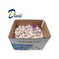 AIL FRESH GARLIC 10Kg