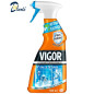 VIGOR SALLE DE BAIN 500ML