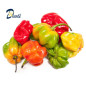 PIMENT ANTILLAIS 250g