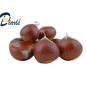 MARRON CHATAIGNE 250g