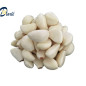 AIL PELE 500g