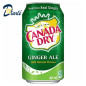 CANADA DRY 355ML