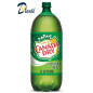 CANADA DRY 2L