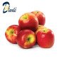 POMME PINK LADY 1Kg