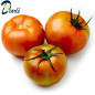 TOMATE GRAPPE (DIAM) 500g