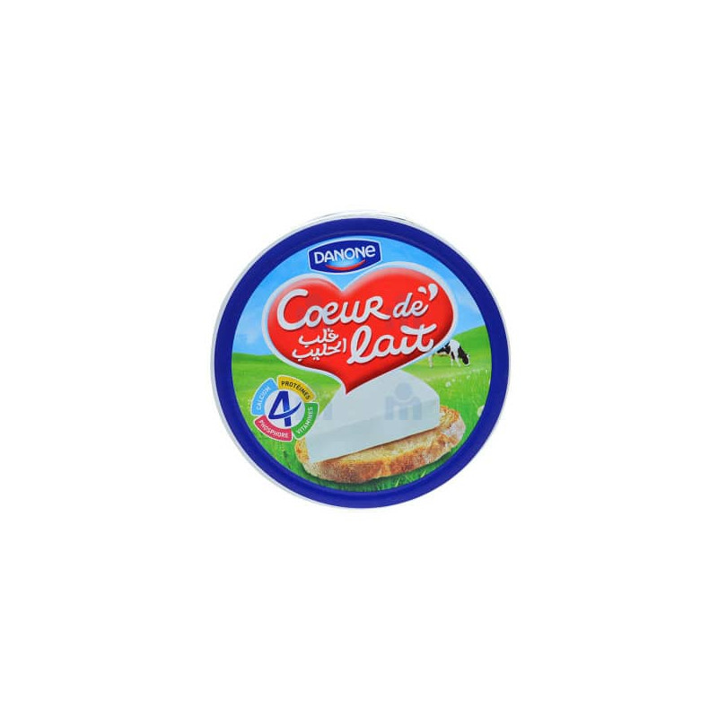 FROMAGE DANONE COEUR DE LAIT 100g