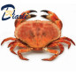 CRABE FRUIT DE MER 1Kg