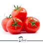 TOMATE FRAIS 1Kg