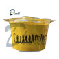 CURCUMIN EN POUDRE 45g