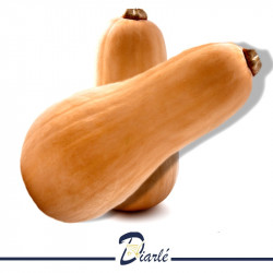 COURGE-NADIO-BUTTERNUT 500g