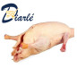 CANARD LOCAL ENTIER FRAIS 1.800Kg