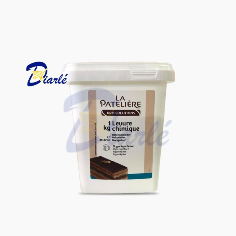 LA PATELIERE LEVURE CHIMIQUE 1Kg