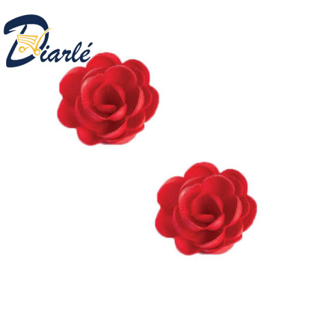 ROSES AZYME PETITES ASSORTIES ROUGE 2PCS