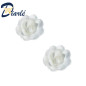 ROSES AZYME PETITES ASSORTIES BLANCHE 2PCS