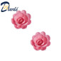 ROSES AZYME PETITES ASSORTIES ROSE 2PCS