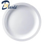 PLATE A JETER PLASTIC COULEUR BLANC 22CM 30PCS