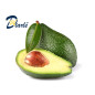 AVOCAT FRUIT 500g