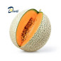 MELON FRUIT 500g