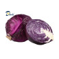 CHOU ROUGE 1Kg