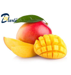 MANGUE KENT 1Kg