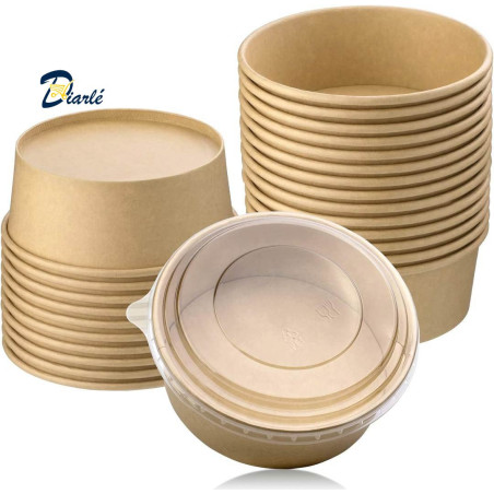 BOLS EN CARTON KRAFT 12 x 1,100ML