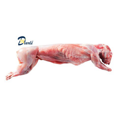 LAPIN ENTIER